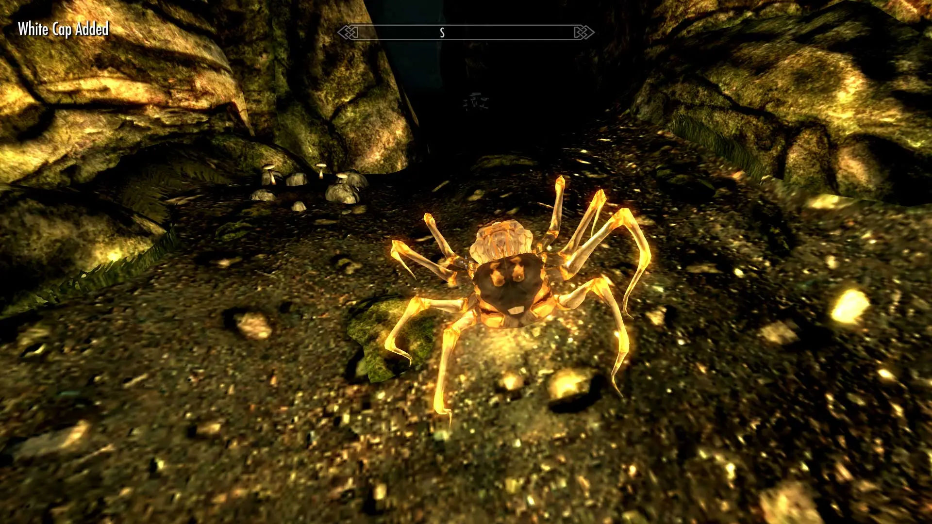 Wallpaper #GPQnOpMBKFX8bn3roHiA363 Pack of Spiders at Skyrim Nexus Mods and Community