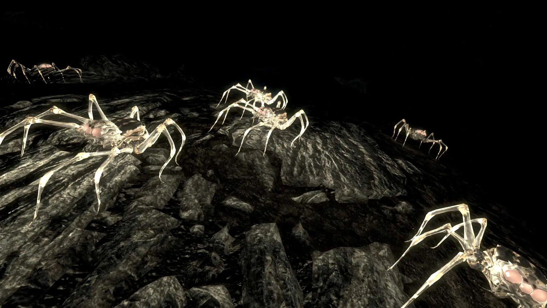 Wallpaper #GPQnOpMBKFX8bn3roHiA166 Pack of Spiders at Skyrim Nexus Mods and Community