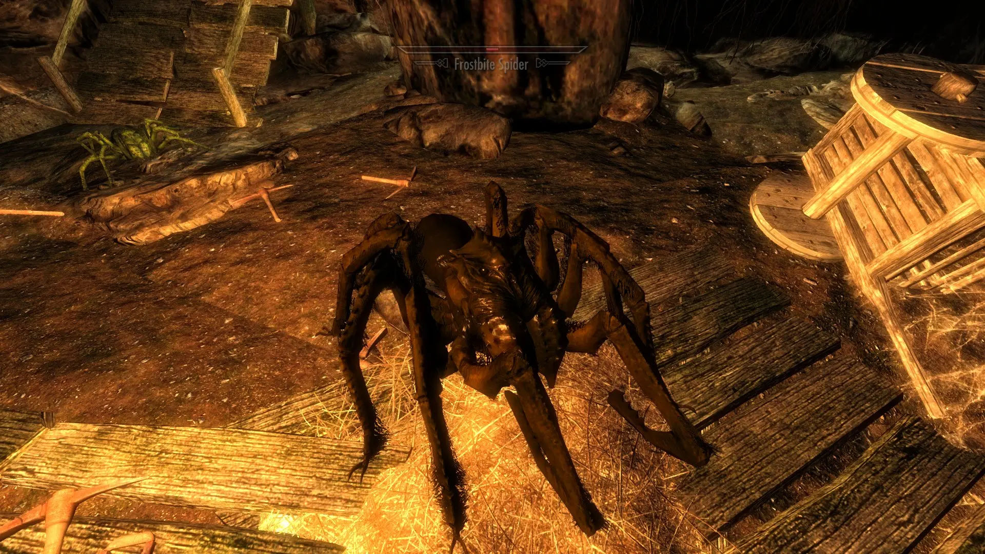 Wallpaper #GPQnOpMBKFX8bn3roHiA102 Real Spiders at Skyrim Nexus Mods and Community