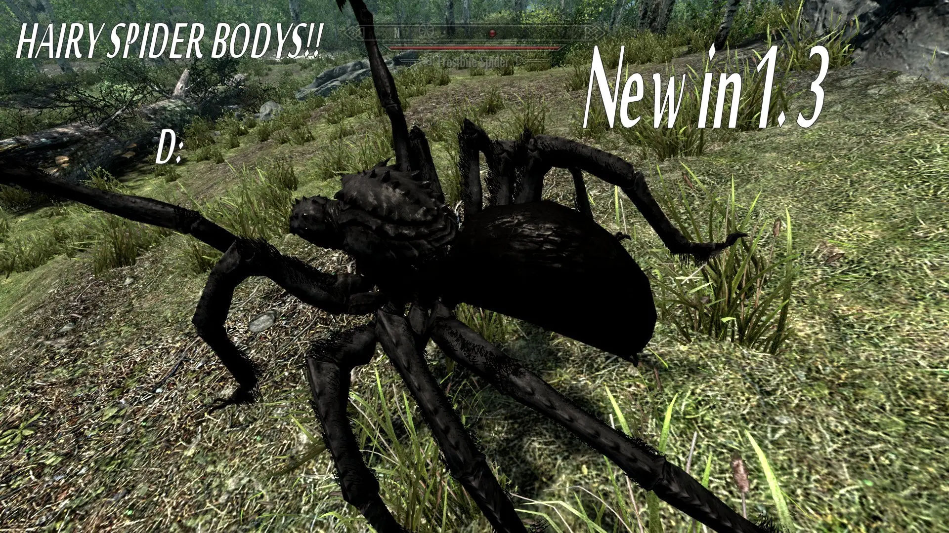 Wallpaper #GPQnOpMBKFX8bn3roHiA13 Real Spiders at Skyrim Nexus Mods and Community