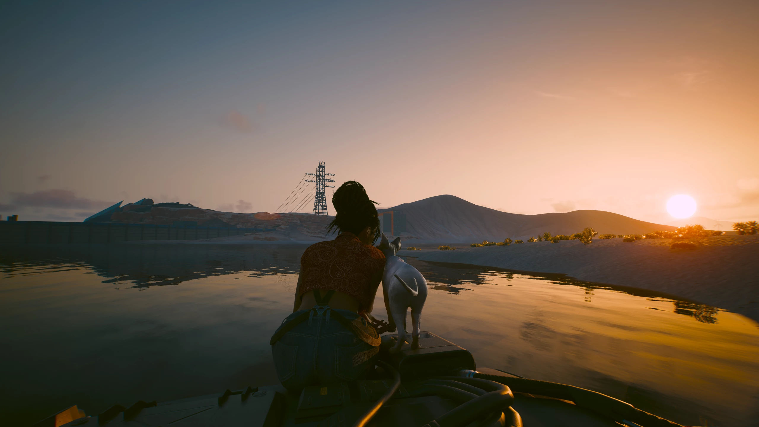 Wallpaper #2W0WaJcBycdYOYFTPW9J188 Panam Likes Lakes the Same as Nibbles at Cyberpunk 2077 Nexus Mods
