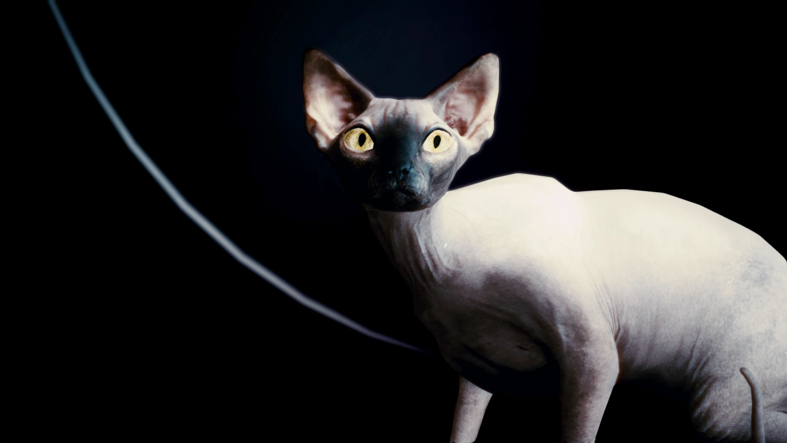 Wallpaper #2W0WaJcBycdYOYFTPW9J25 Nibbles is Best Cat at Cyberpunk 2077 Nexus Mods and Community