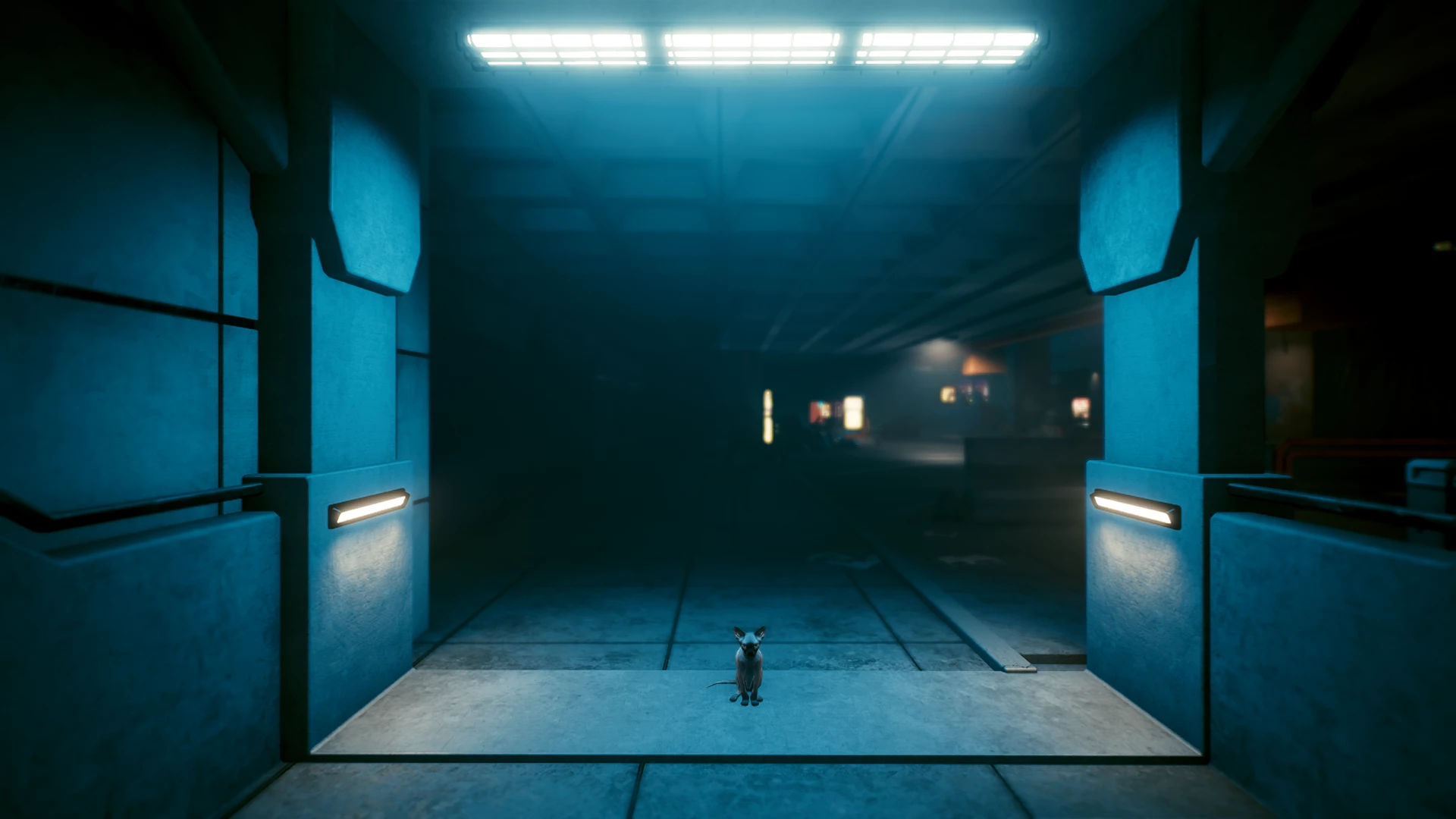 Wallpaper #2W0WaJcBycdYOYFTPW9J184 Whose Nibbles Engram at Cyberpunk 2077 Nexus Mods and Community