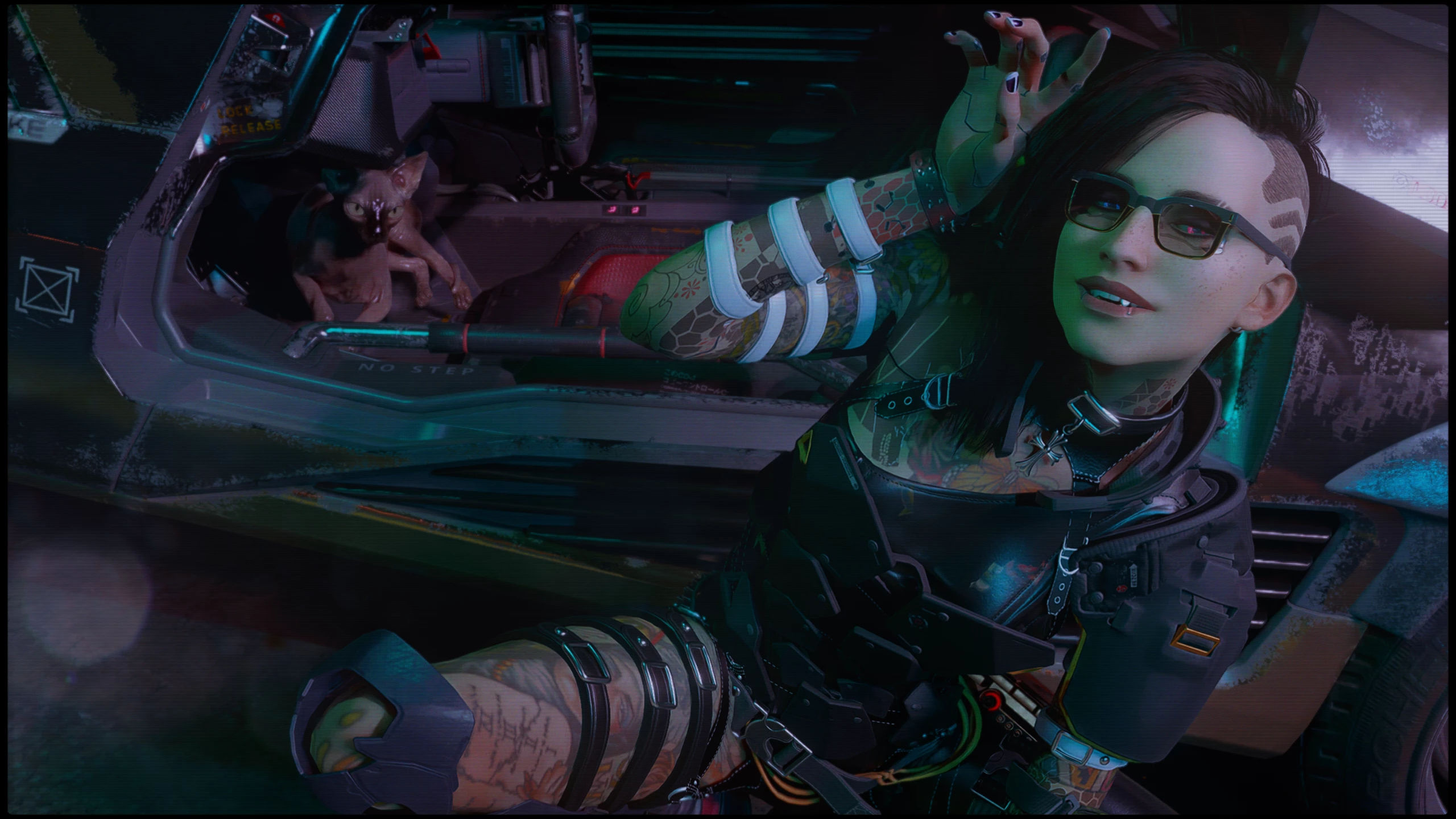 Wallpaper #2W0WaJcBycdYOYFTPW9J90 V N Nibbles at Cyberpunk 2077 Nexus Mods and Community