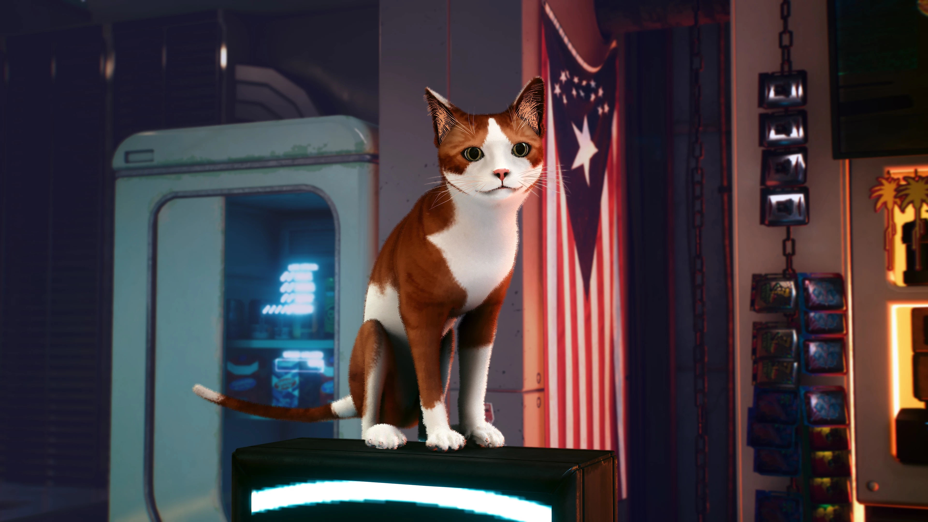 Wallpaper #2W0WaJcBycdYOYFTPW9J72 Cat Replacers for Nibbles at Cyberpunk 2077 Nexus Mods and Community