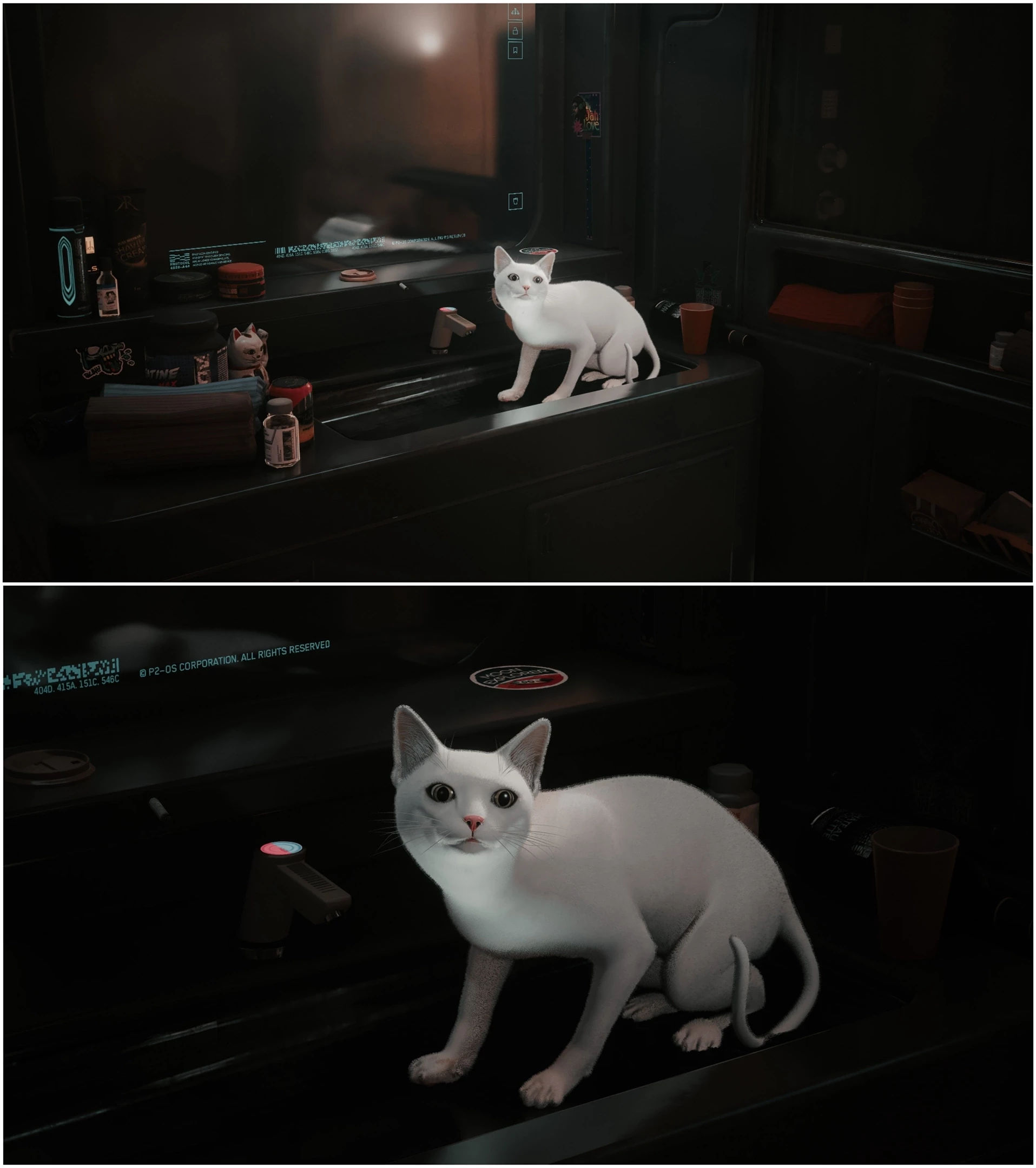 Wallpaper #2W0WaJcBycdYOYFTPW9J96 Cat Replacers for Nibbles at Cyberpunk 2077 Nexus Mods and Community