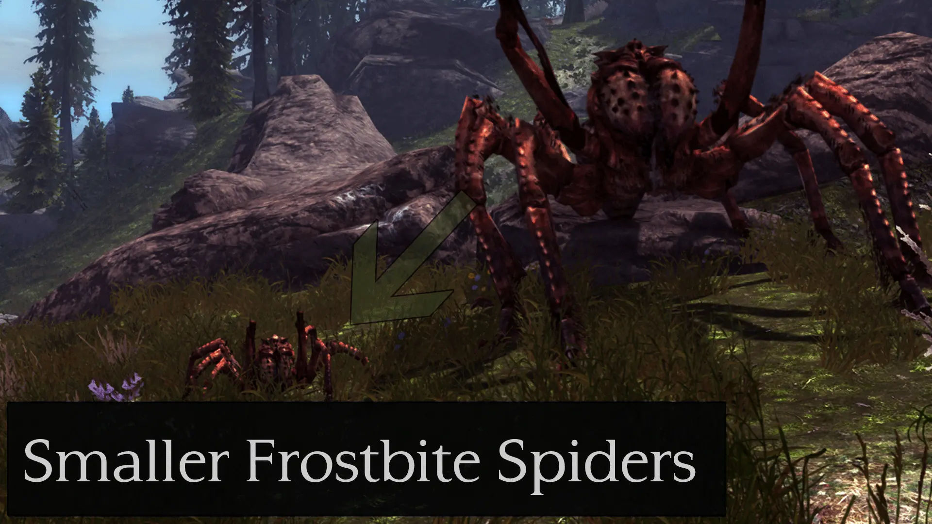 Wallpaper #GPQnOpMBKFX8bn3roHiA193 Smaller Frostbite Spiders Esl Flagged at Skyrim Special Edition Nexus