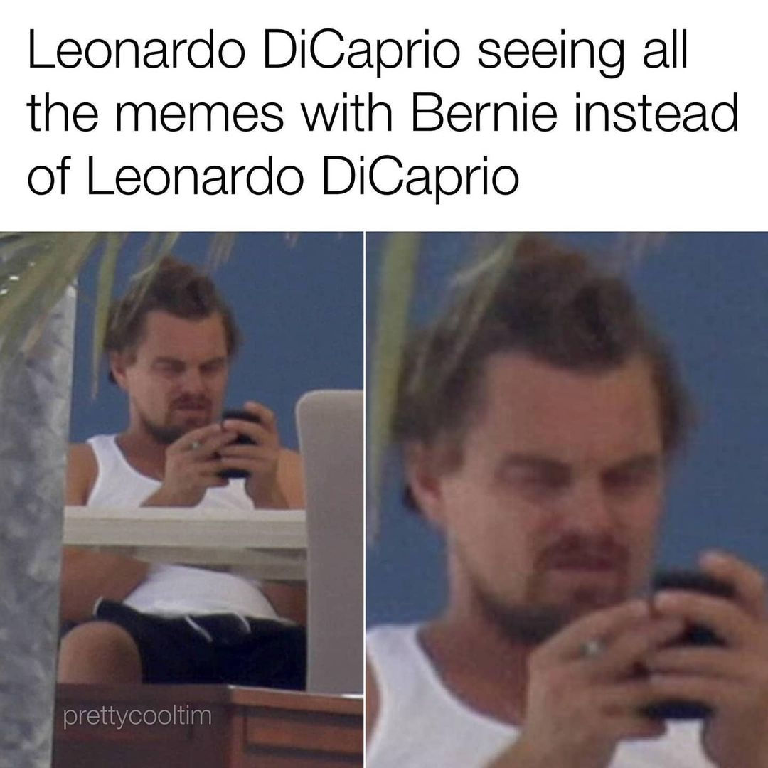 Wallpaper #1GfT6JIBSpphPi3-ZD6Q99 Leonardo Dicaprio Seeing All the Memes with Bernie Instead of Leonardo