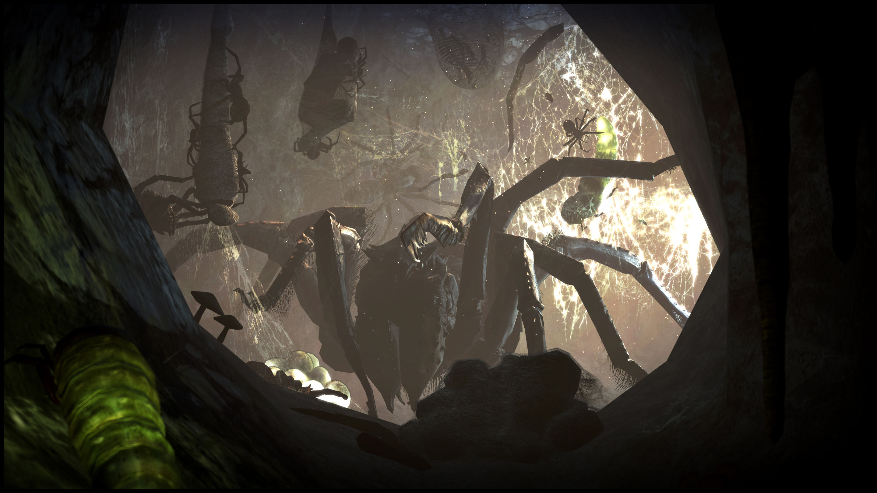 Wallpaper #3H0Y8o4Bnwiau_P6pgrT23 Httpfc03deviantartnetfs70f20121409dthe Spider Cave by