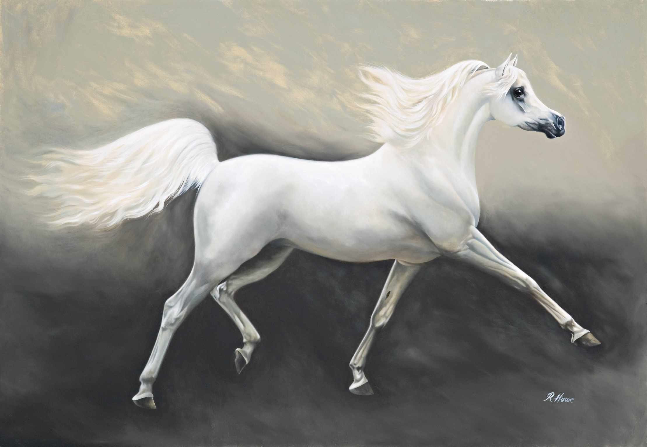Wallpaper #-x2ULJMBlOZrFDOkz8qk77 Arabian Horse Photo Gallery Wallpaper 53 Images