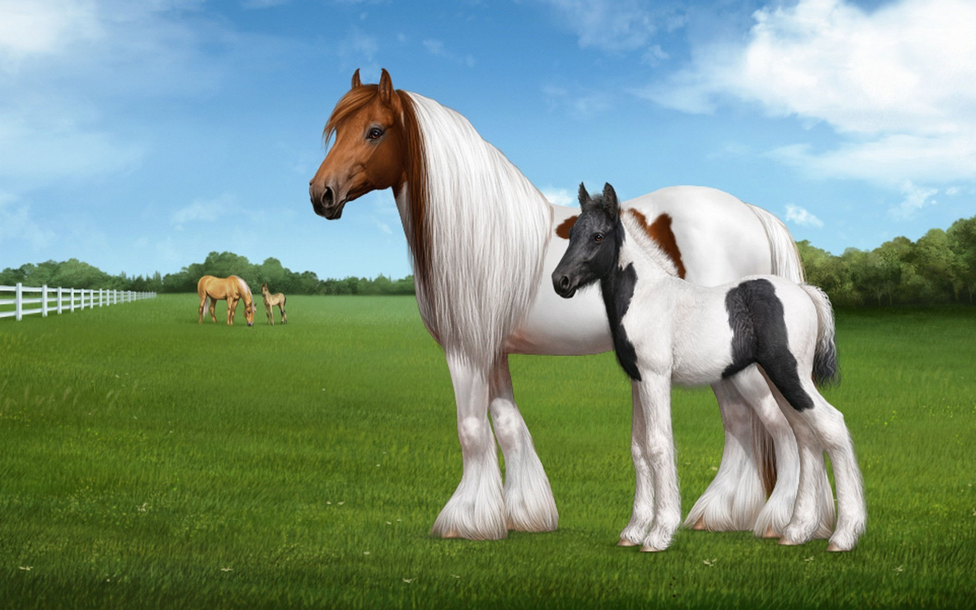 Wallpaper #Q31n8I4Bnwiau_P6UwYf15 Cool Horse Backgrounds 57 Images