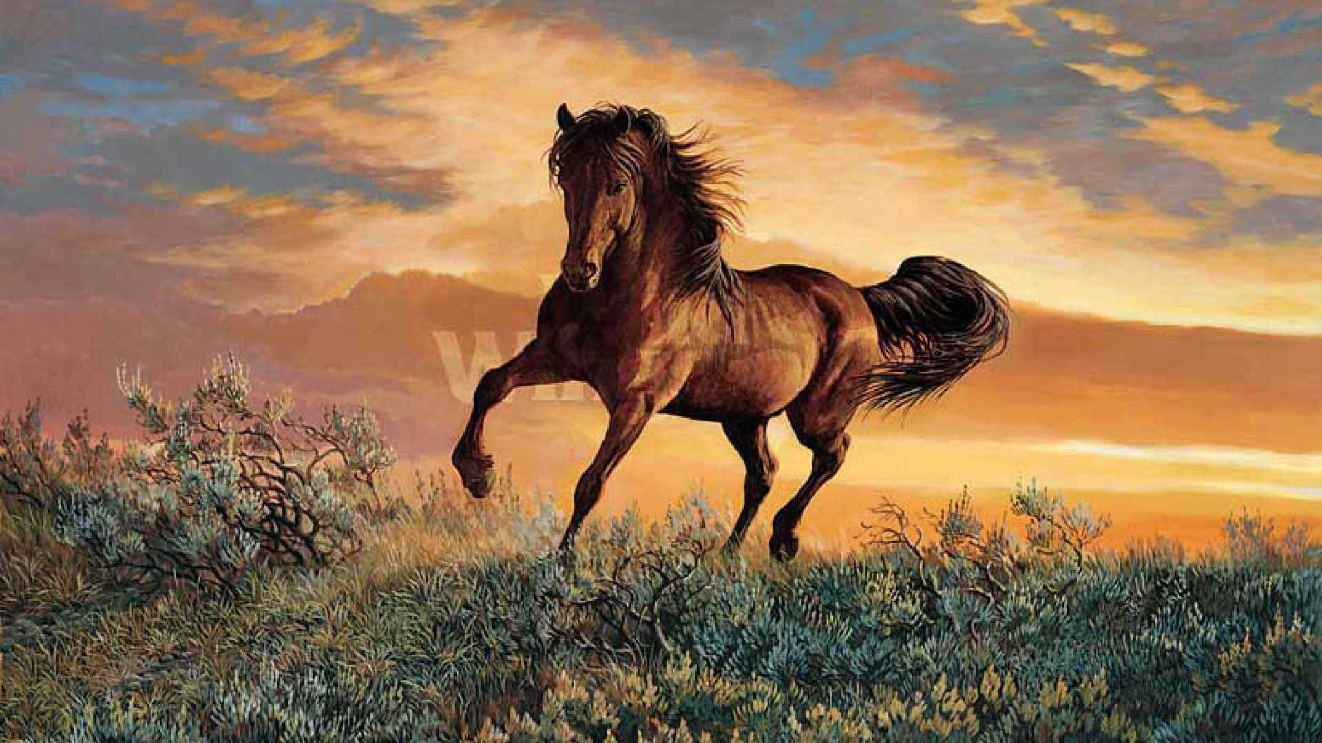 Wallpaper #Mn1i8I4Bnwiau_P63Abi25 Galloping Buckskin Mustang Horse Buckskin Horses Horse Love