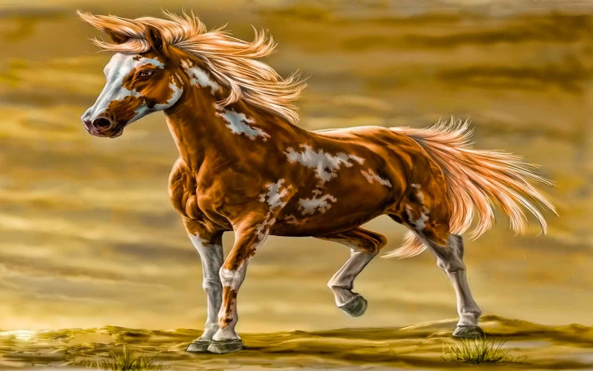 Wallpaper #HWdNCpMBSpphPi3-pNQH103 Paint Horse Wallpaper 40 Images