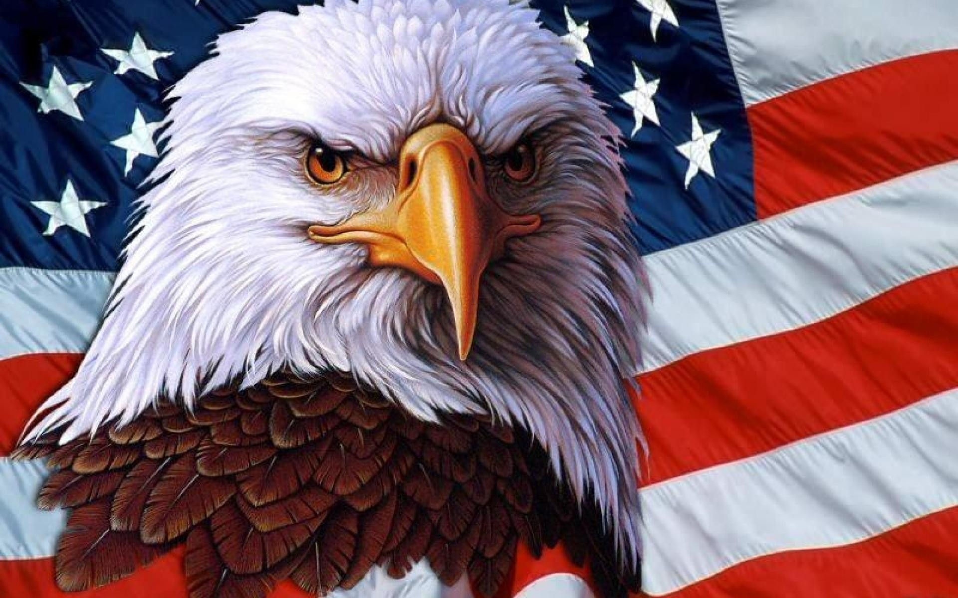 Wallpaper #6ef95 11209 Gier Eagle Images Stock Photos Vectors Shutterstock