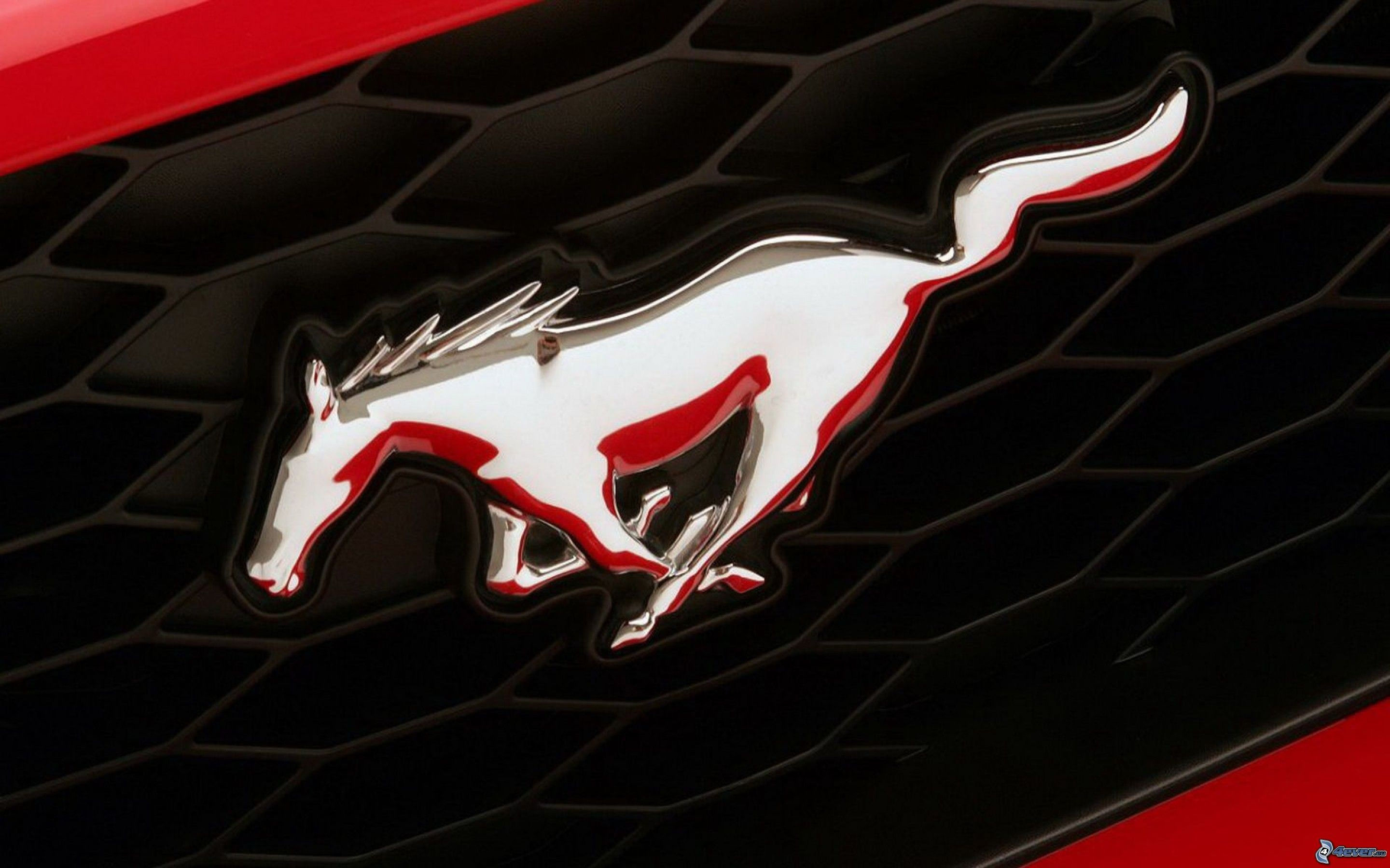 Wallpaper #DEX9l44B7YBJg1BVyaFj19 Mustang Emblem Wallpaper 55 Images