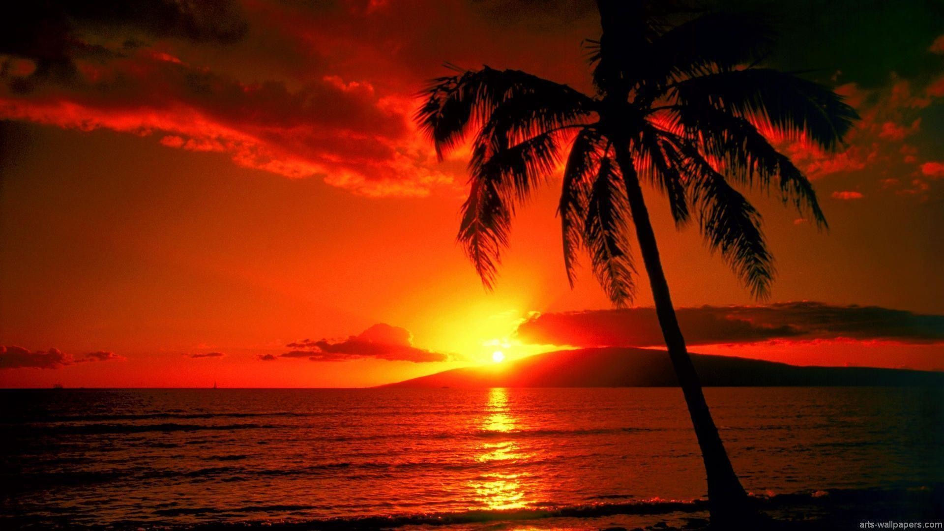 Wallpaper #DJws4pIBZHQxiYarq7-436 Tropical Island Sunset Wallpaper 58 Images