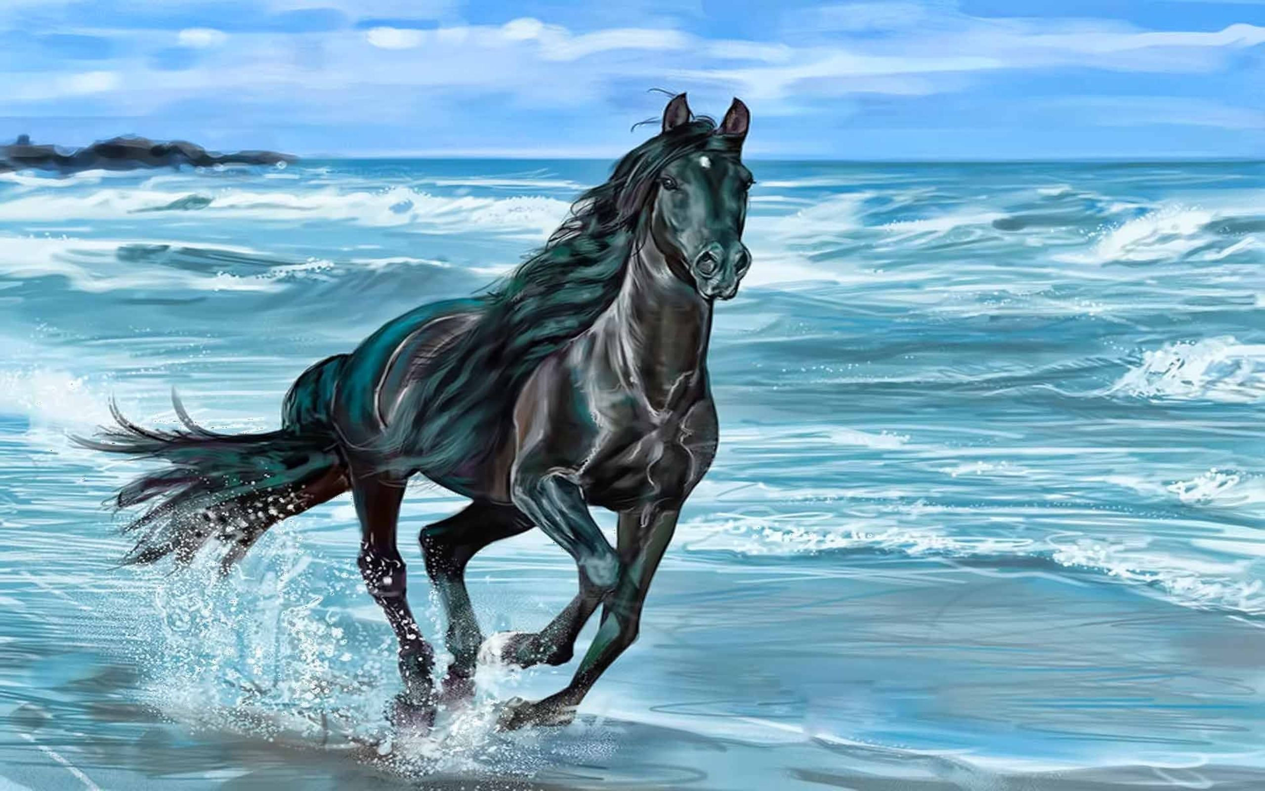 Wallpaper #Q31n8I4Bnwiau_P6UwYf13 Wild Horse Desktop Wallpapers 70 Images