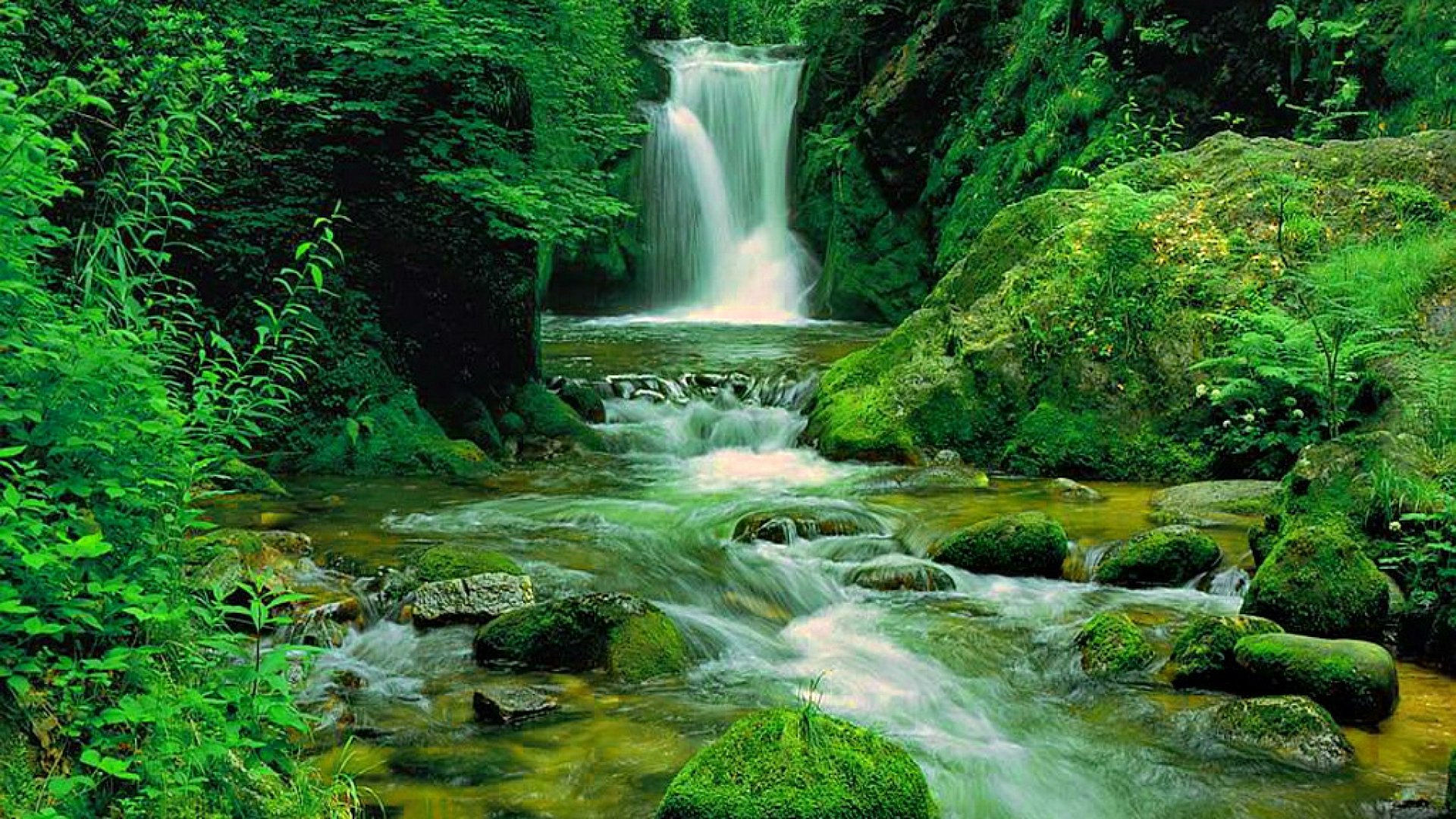 Wallpaper #IH1A9I4Bnwiau_P6jg9o27 Green Waterfall HD Wallpaper Background Image 1920x1080 Id568807