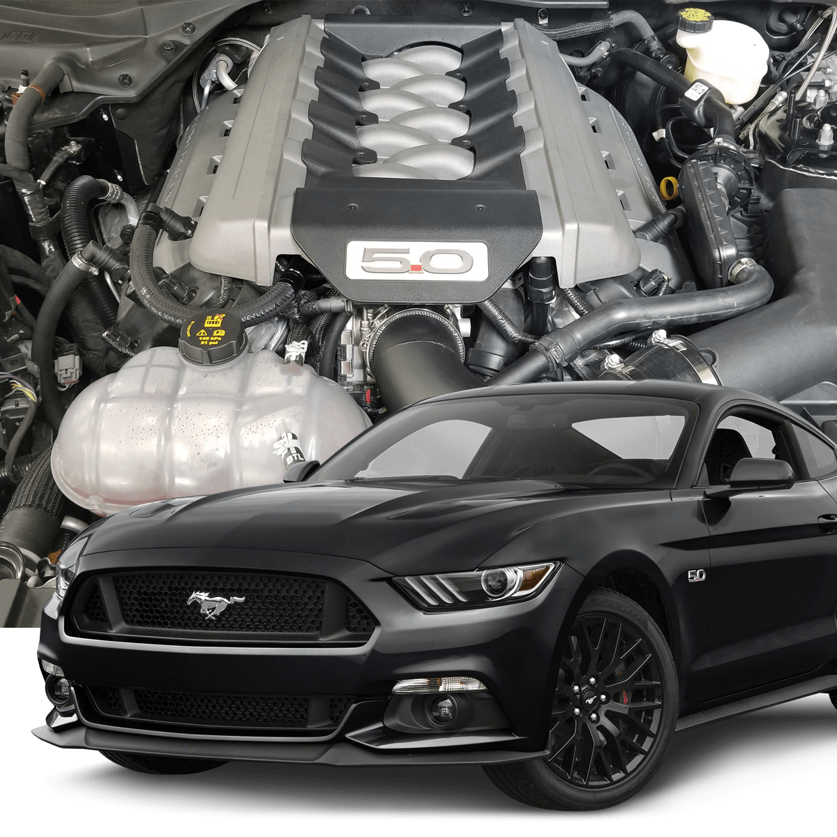 Wallpaper #4WfD-JIBSpphPi3-3IrB30 2015 2019 Mustang GT Hellion Street Sleeper Twin Turbo System