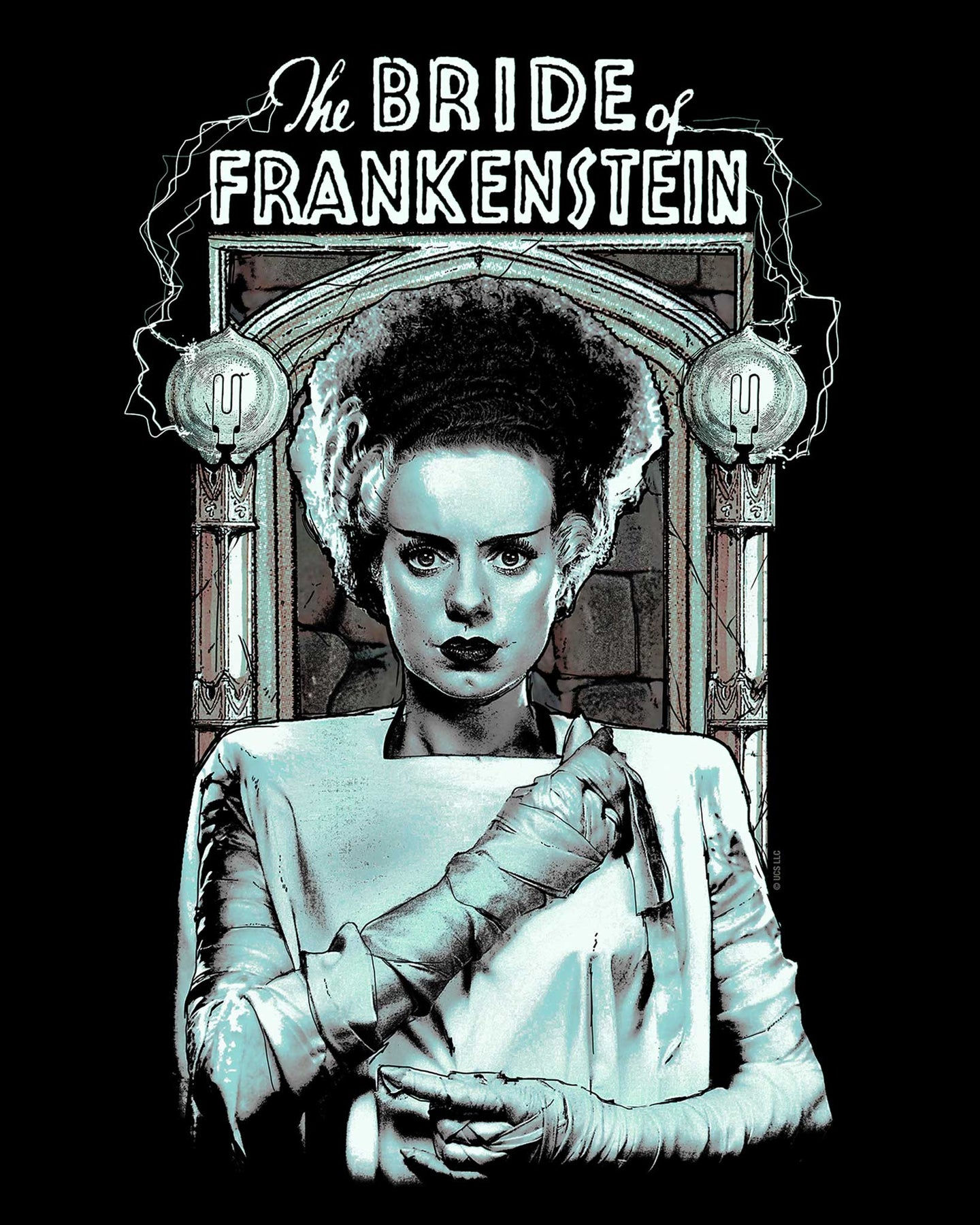 Wallpaper #mDEHNpMB5zzyi_yYg1gY421 Fright Rags the Bride of Frankenstein Licensed T Shirt