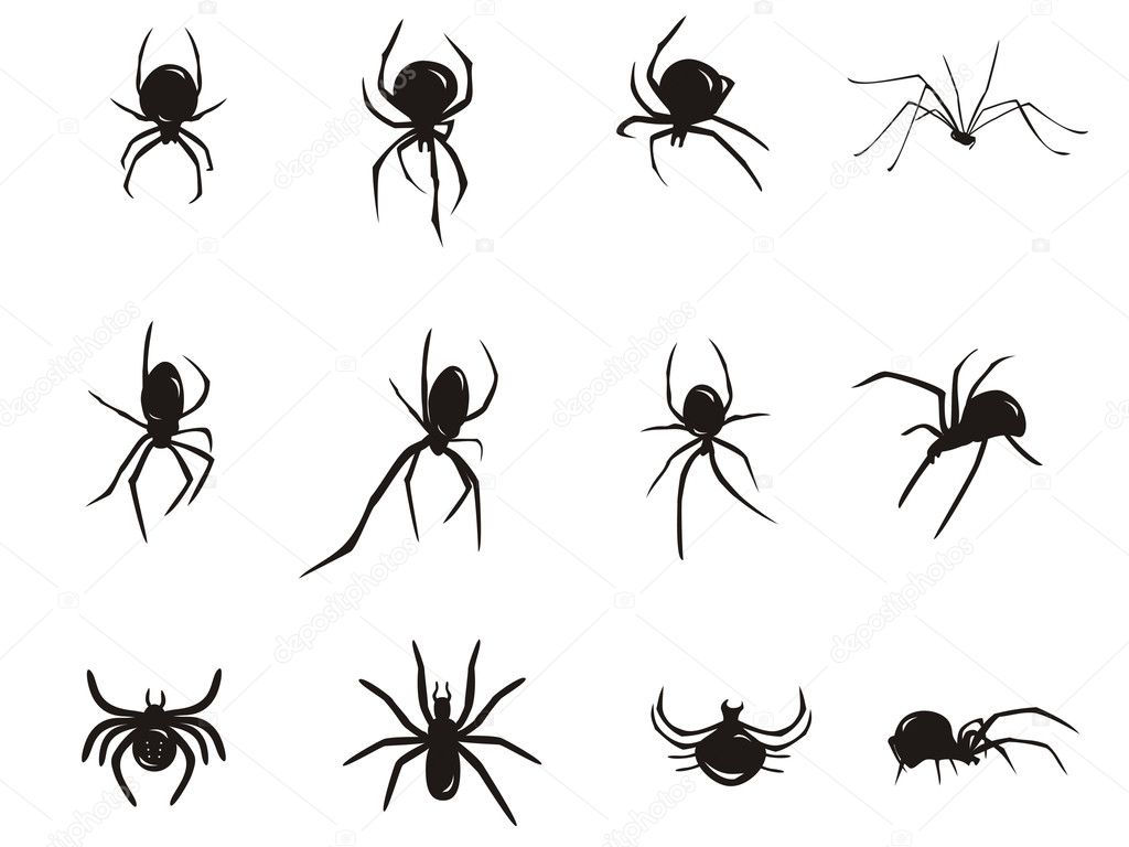 Wallpaper #71bf1 Pin by Kayleigh on Spider Drawings in 2024 Spiderman Drawing
