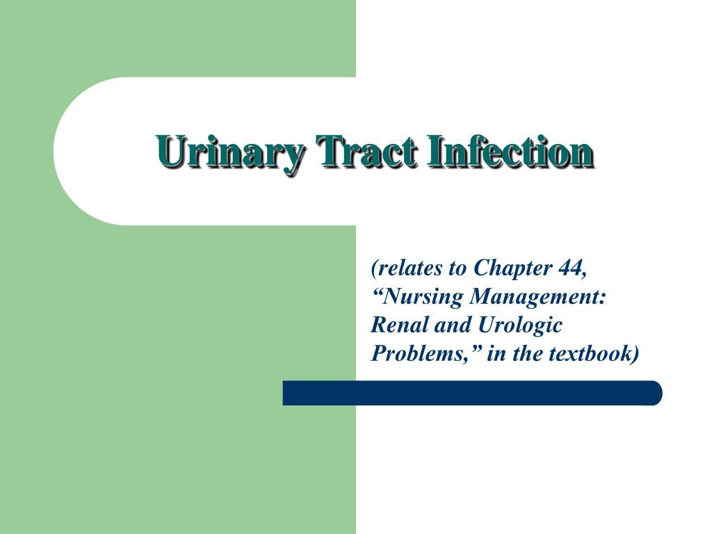 Wallpaper #2D780 182 Bacterial Infections of the Urinary System Biology Libretexts