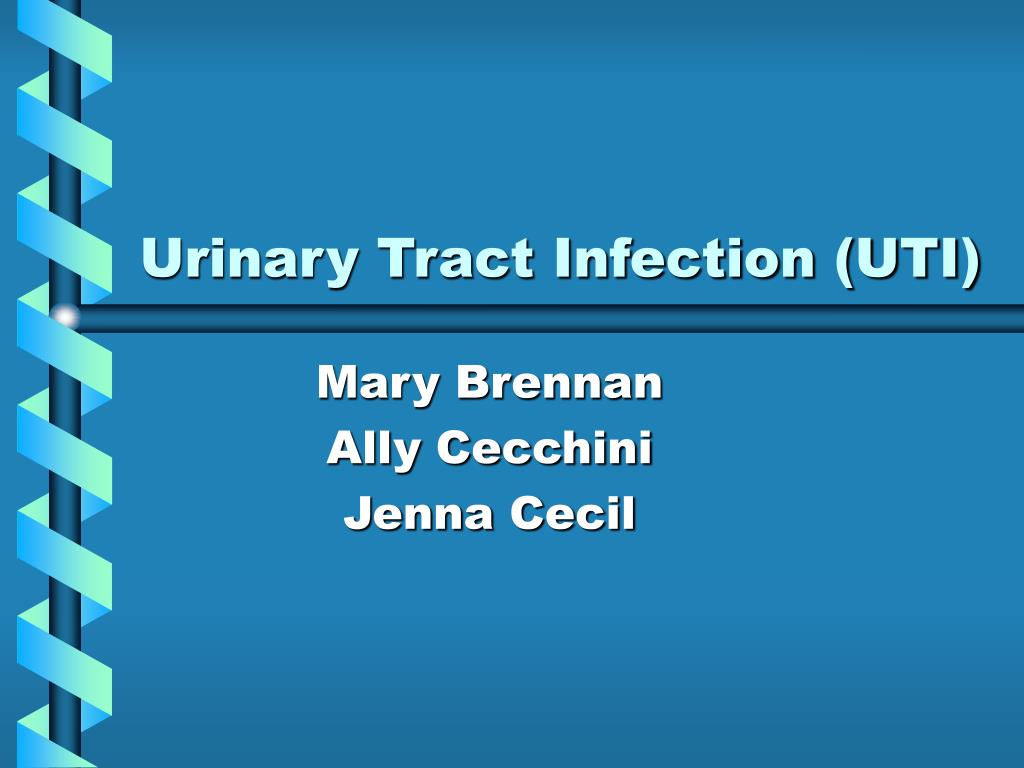 Wallpaper #2D780 182 Bacterial Infections of the Urinary System Biology Libretexts