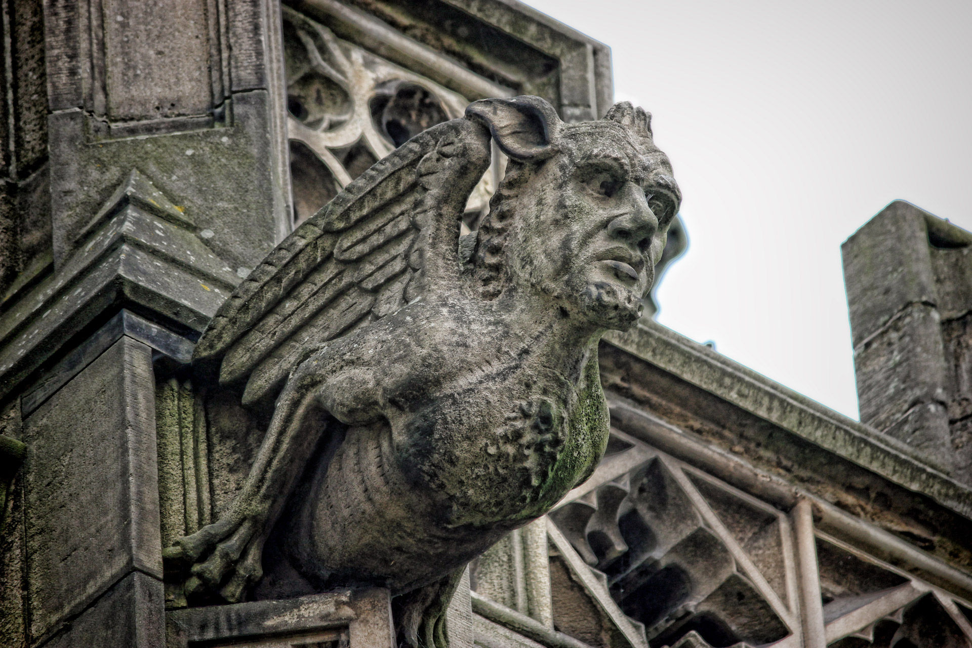 Wallpaper #s2eZ6JIBSpphPi3-Fj1x12 Manchester Cathedral Gargoyle Free Stock Photo Public Domain Pictures