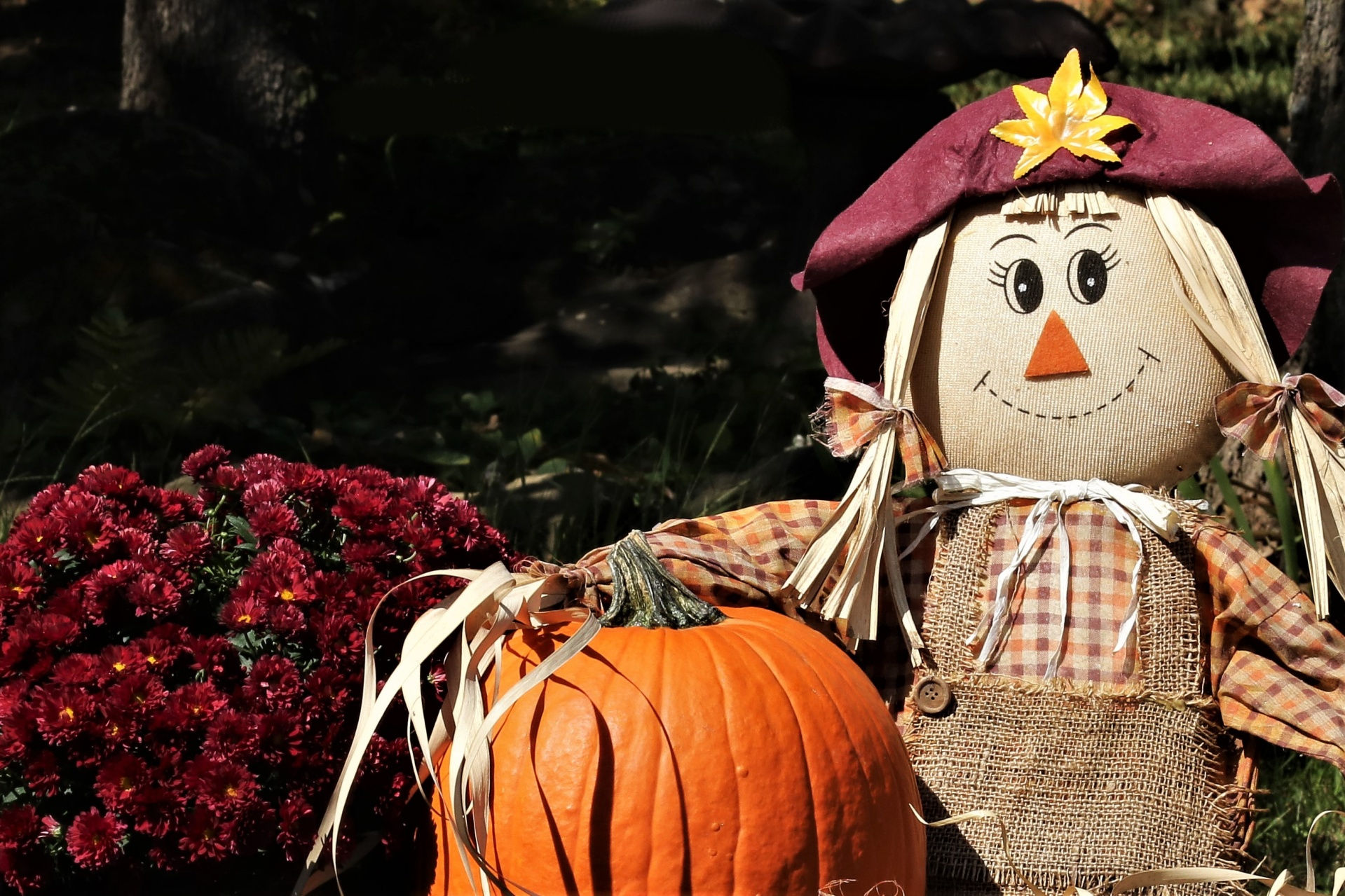 Wallpaper #1neqJpMB-pgBXx6036I4320 Scarecrow and Pumpkin Close Up Free Stock Photo Public Domain Pictures
