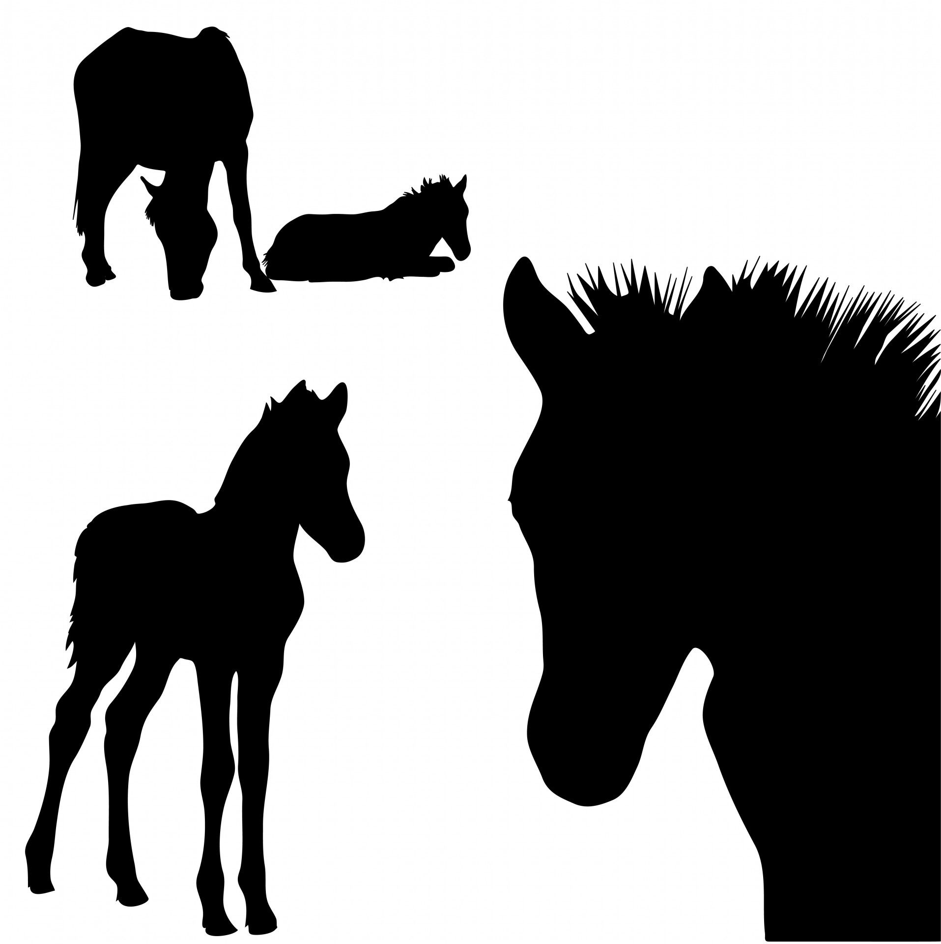 Wallpaper #8a32a Horse Head Silhouette Free Vector Silhouettes