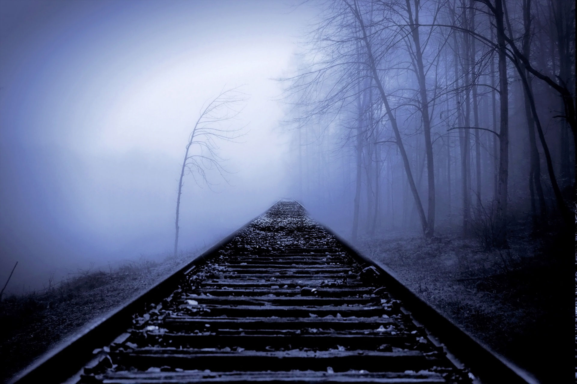 Wallpaper #J__VZ5MB3lSXT3zUqOOy556 The End Free Stock Photo Public Domain Pictures
