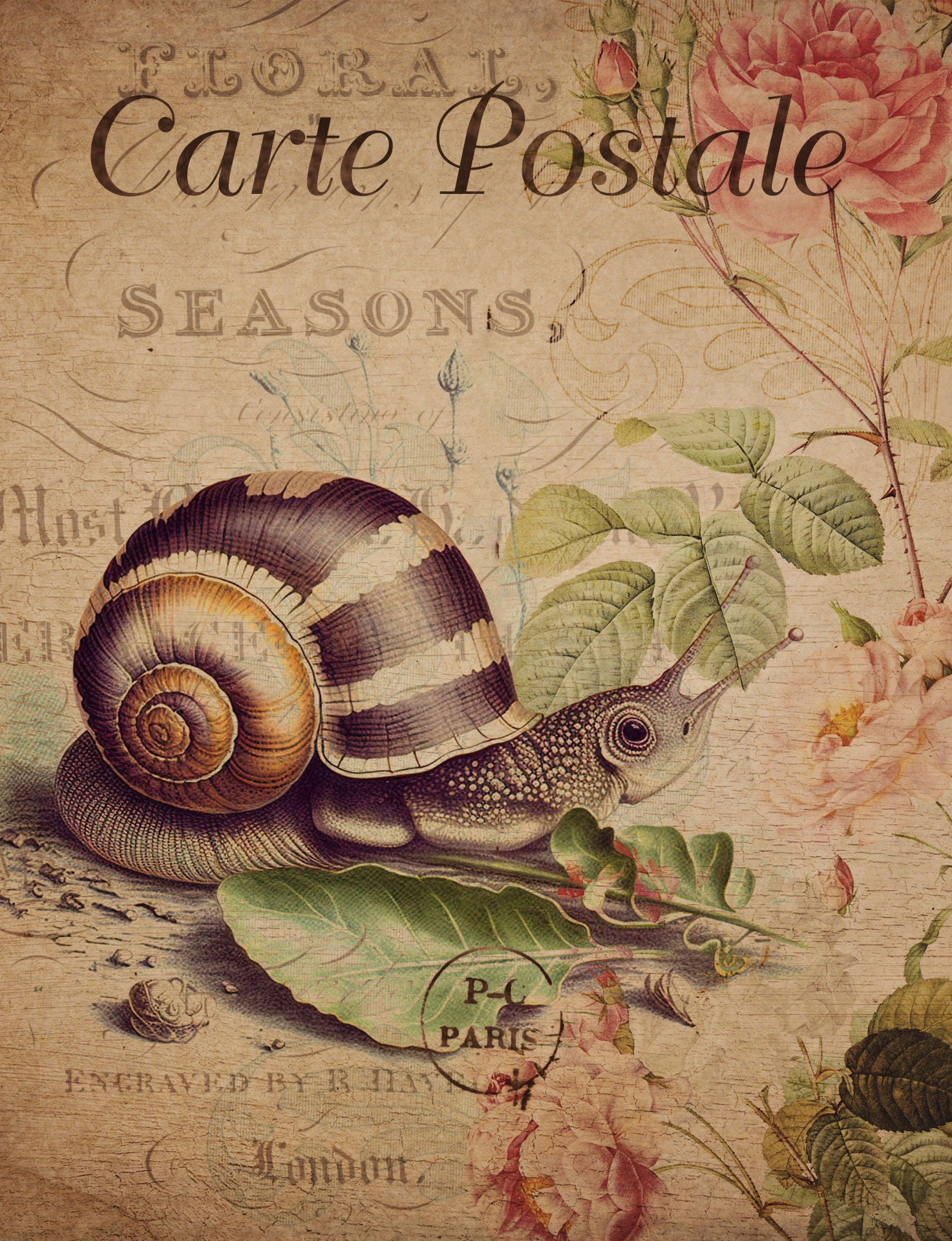 Wallpaper #7DE0NZMB5zzyi_yYk1WD404 Vintage Snail Floral Postcard Free Stock Photo Public Domain Pictures