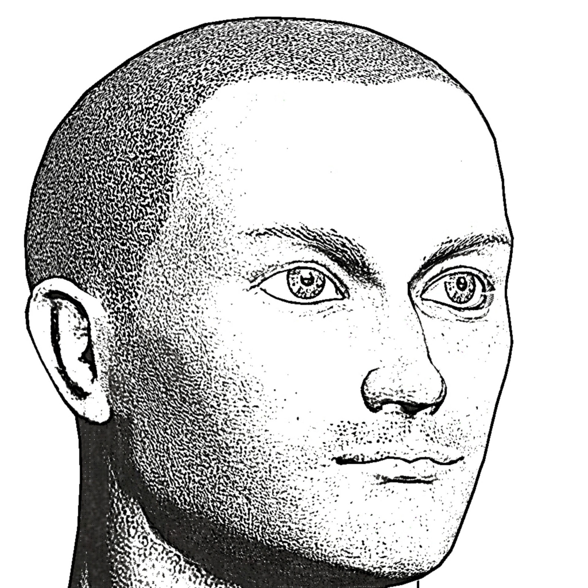 Wallpaper #T2chEpMBSpphPi3-4_pJ225 Man Head Sketch Free Stock Photo Public Domain Pictures