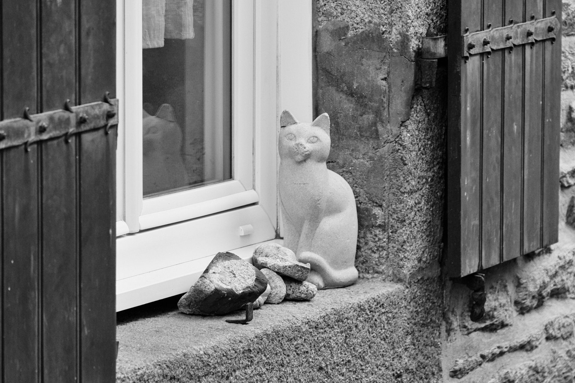 Wallpaper #MmhFGZMBSpphPi3-wBYn271 Porcelain Cat Free Stock Photo Public Domain Pictures