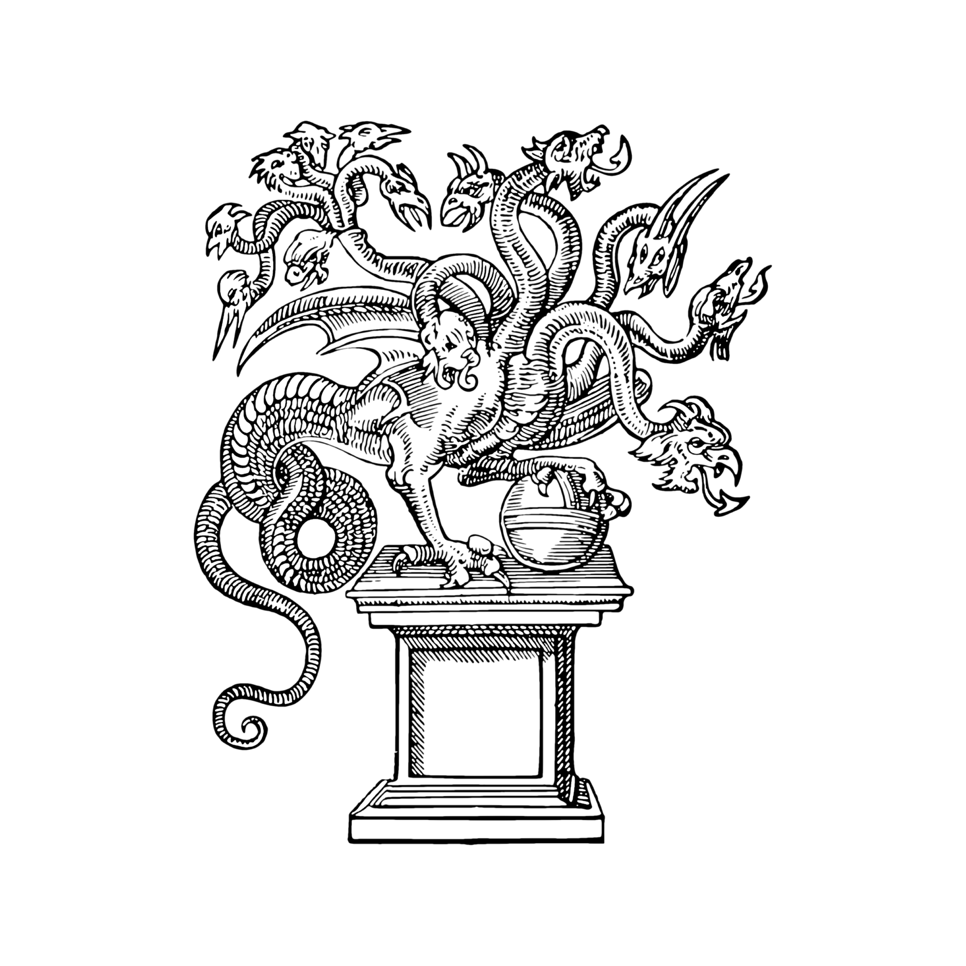 Wallpaper #e2cOBpMBSpphPi3-b78W345 Hydra Free Stock Photo Public Domain Pictures