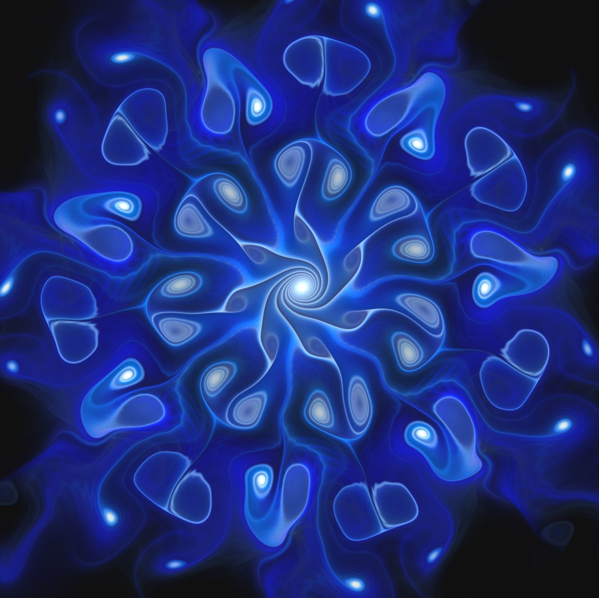 Wallpaper #z-ppVpMBlwTYPL18wg-e29 Blue Abstract Flower Free Stock Photo Public Domain Pictures