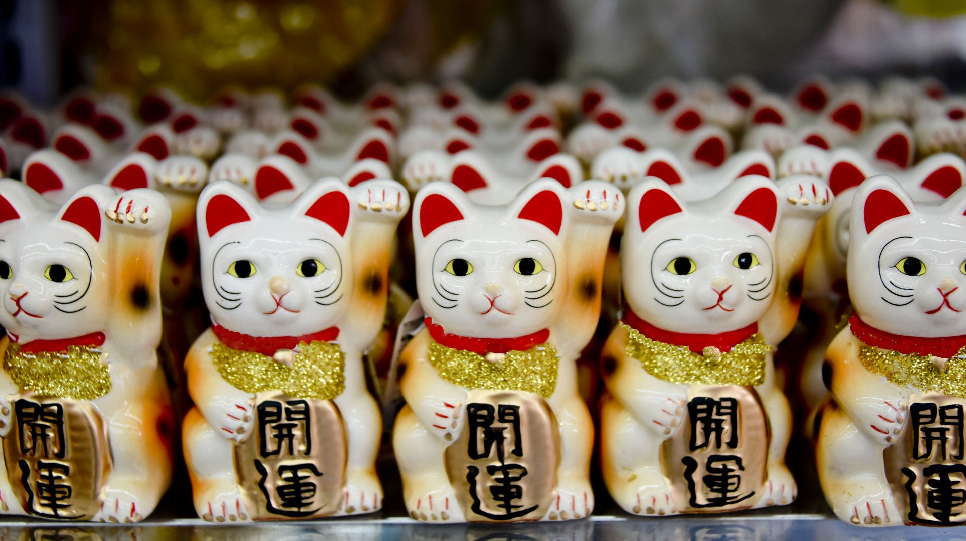 Wallpaper #fRwnQZMB8JfcLg2JvfdA271 Japanese Lucky Cat Free Stock Photo Public Domain Pictures