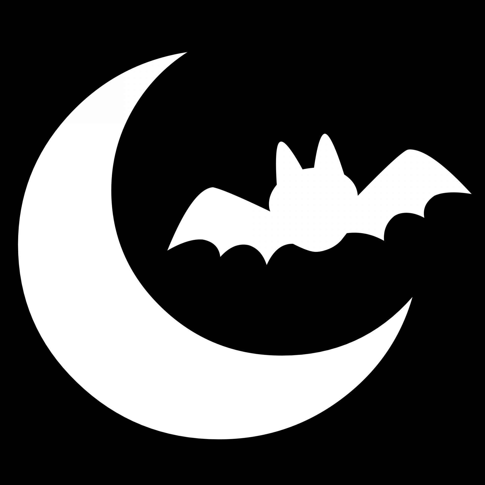 Wallpaper #j2h1H5MBSpphPi3-nivM353 Moon and Bat Free Stock Photo Public Domain Pictures