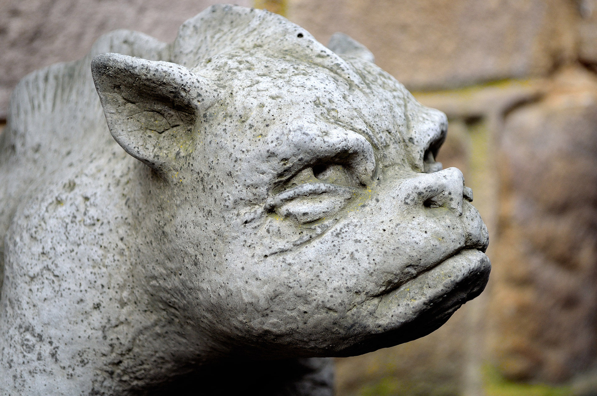Wallpaper #s2eZ6JIBSpphPi3-Fj1x123 Stone Sculptures Gargoyles Free Stock Photo Public Domain Pictures