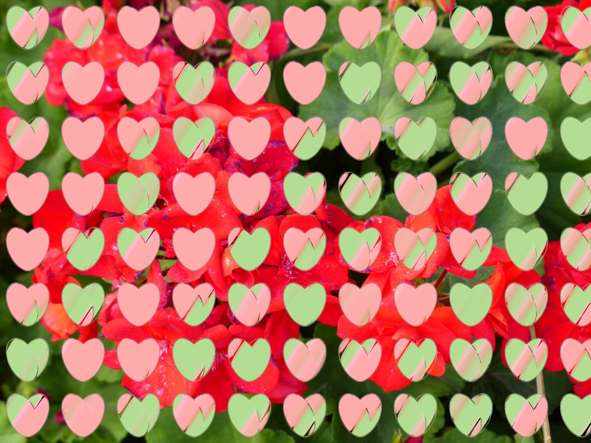 Wallpaper #Tmd395IBSpphPi3-tobx222 Corazones Verdes En Flores Stock De Foto Gratis Public Domain Pictures
