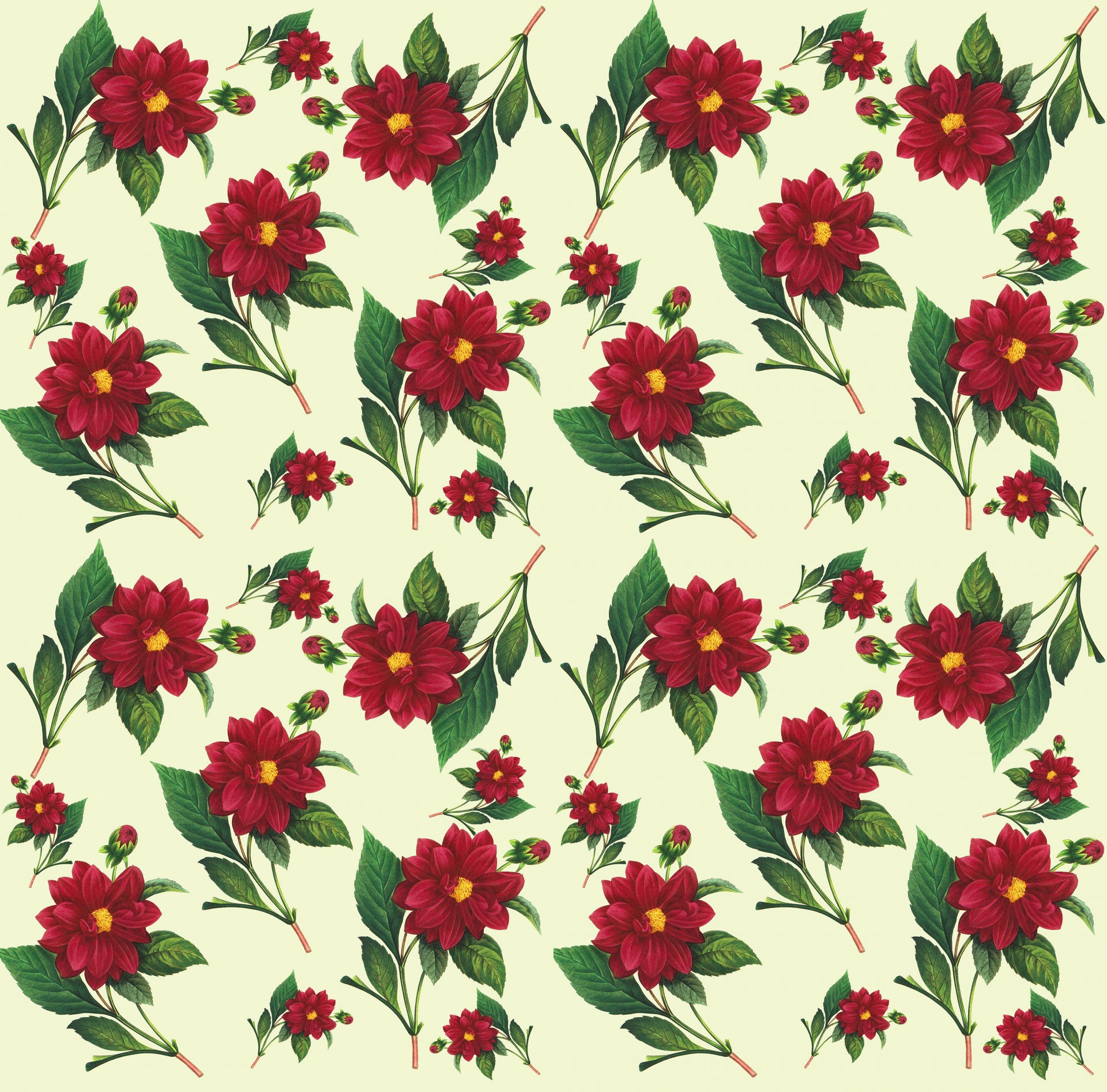 Wallpaper #i2cO9ZIBSpphPi3-vn0v336 Floral Wallpaper Seamless Pattern Free Stock Photo Public Domain Pictures