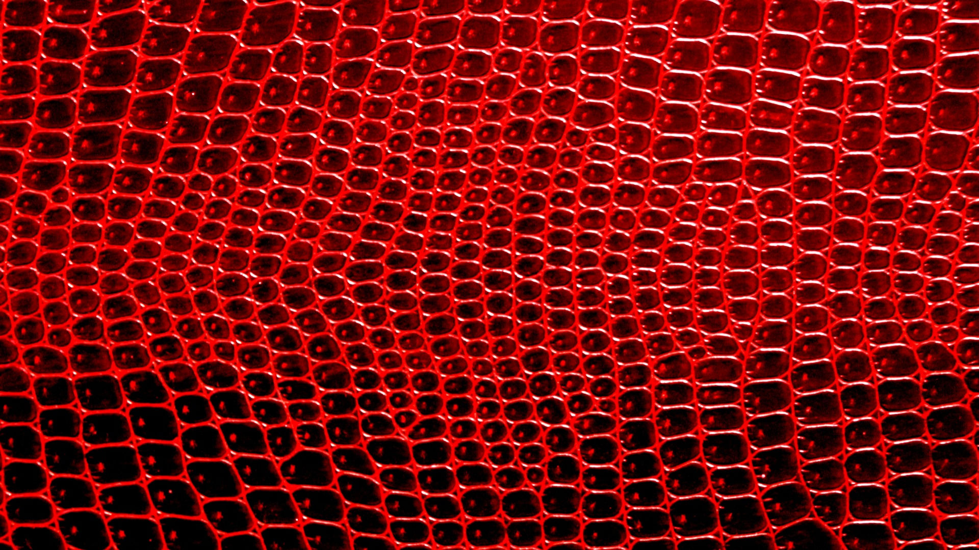 Wallpaper #tGf8CJMBSpphPi3-Bc3h157 Red Crocodile Skin Background Free Stock Photo Public Domain Pictures