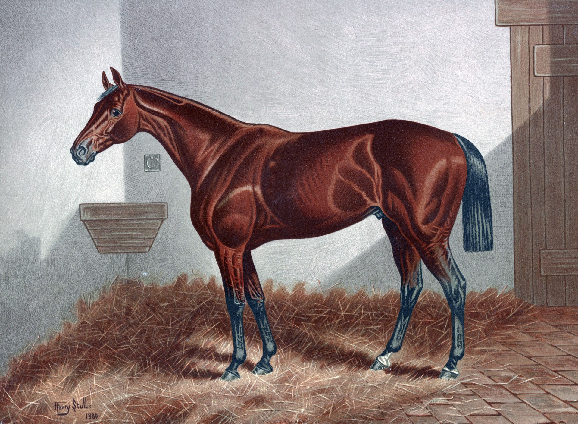 Wallpaper #rR2DLJMBlOZrFDOktMrB307 Chestnut Horse Painting Free Stock Photo Public Domain Pictures