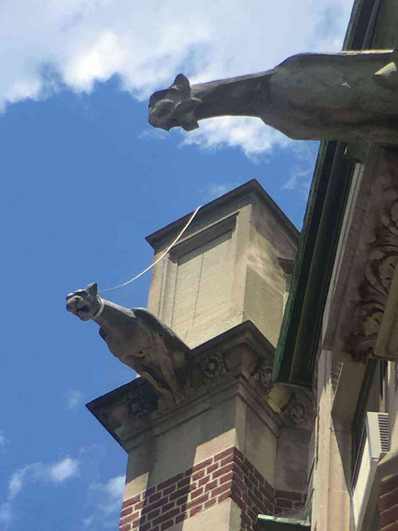Wallpaper #s2eZ6JIBSpphPi3-Fj1x77 Gargoyle Hunting in New York City Fodors Travel Guide