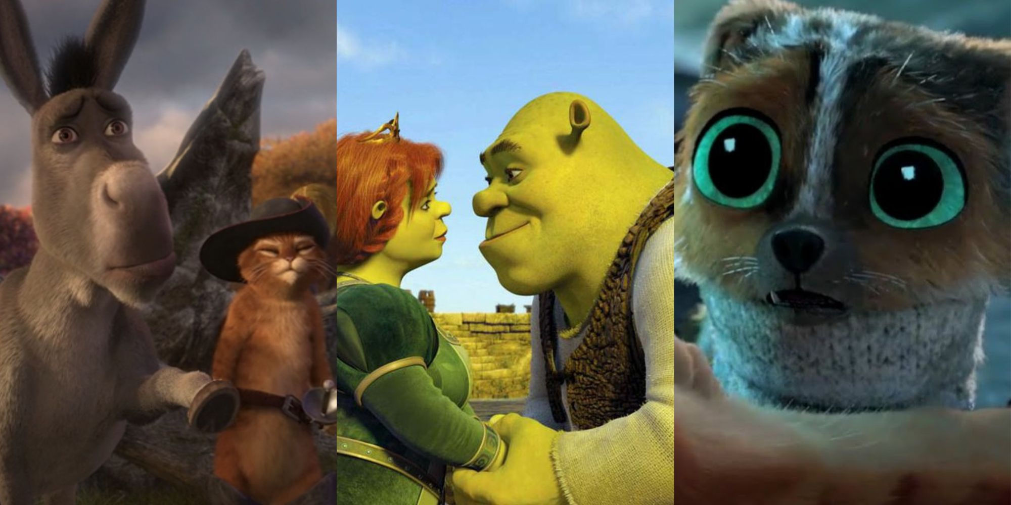 Wallpaper #7GemCZMBSpphPi3-KNBt237 Will There Be a Shrek 5 the Best Reddit Theories