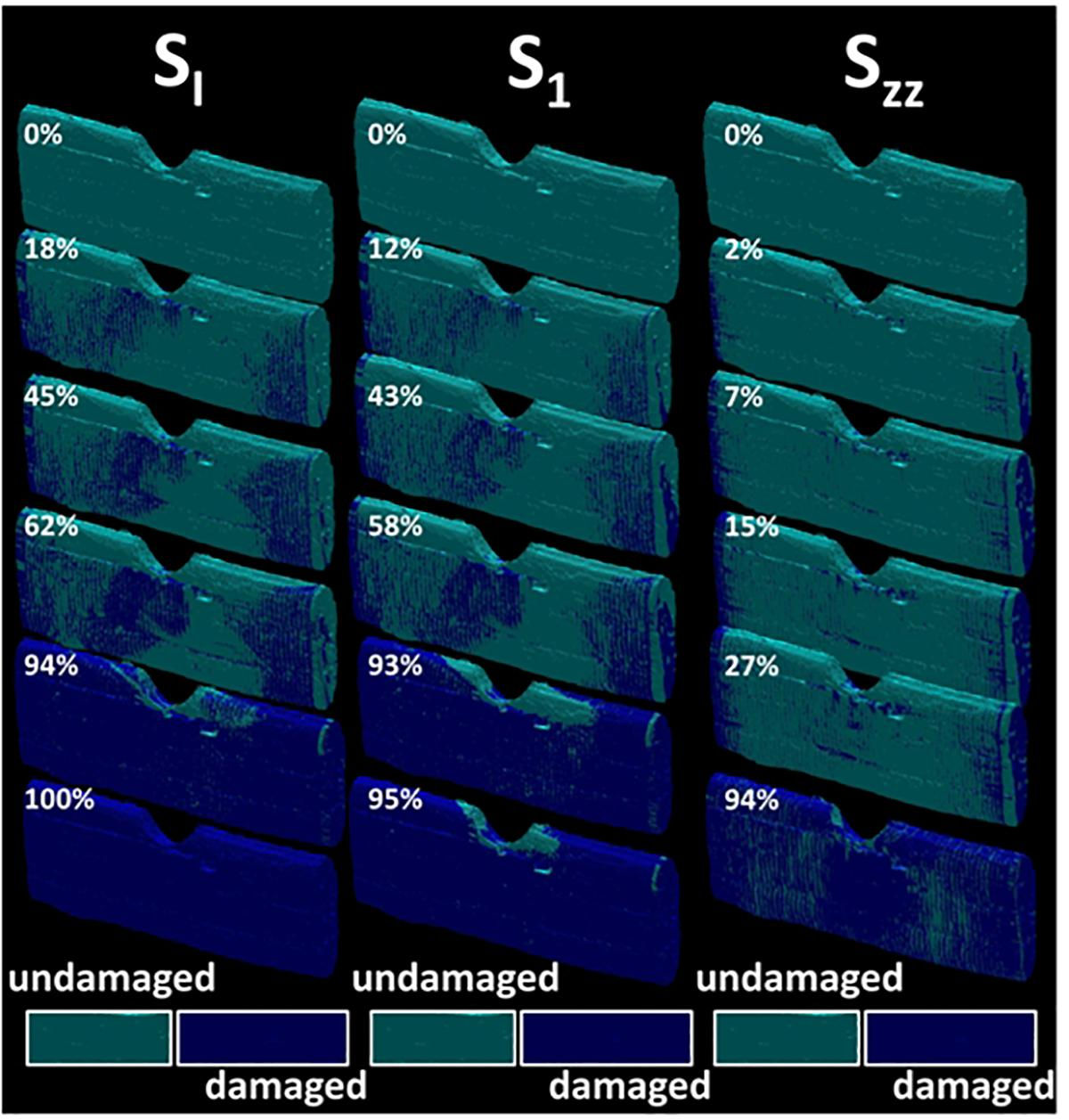 Wallpaper #zWco_ZIBSpphPi3-xppn10 Frontiers Damage Kinetics at the Sub Micrometric Scale in Bast Fibers