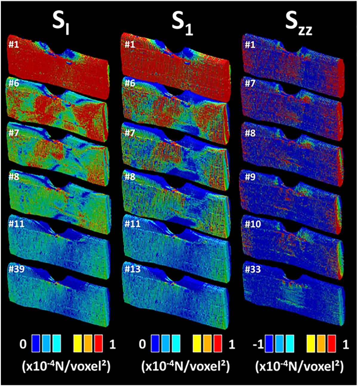 Wallpaper #zWco_ZIBSpphPi3-xppn7 Frontiers Damage Kinetics at the Sub Micrometric Scale in Bast Fibers