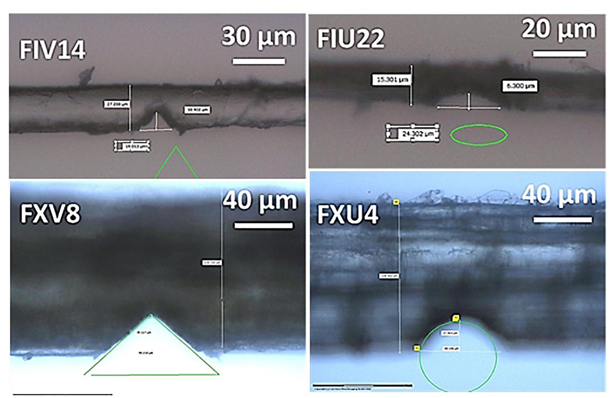 Wallpaper #zWco_ZIBSpphPi3-xppn16 Frontiers Damage Kinetics at the Sub Micrometric Scale in Bast Fibers