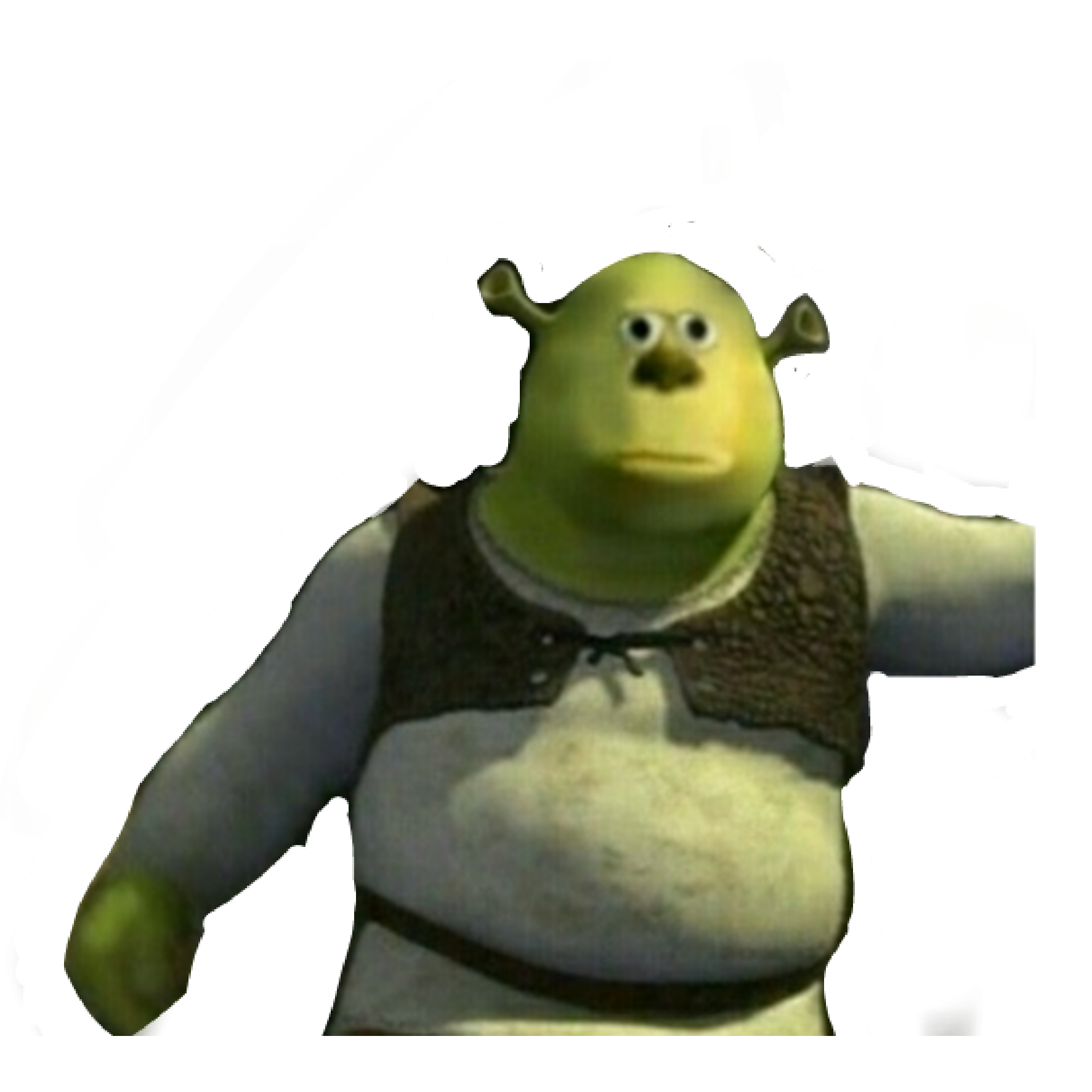 Wallpaper #11e69 Shrek Meme Templates Imgflip