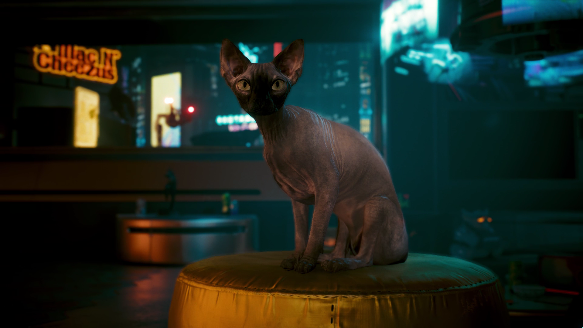 Wallpaper #2W0WaJcBycdYOYFTPW9J61 Como Conseguir O Gato Em Cyberpunk 2077 Adote Nibbles